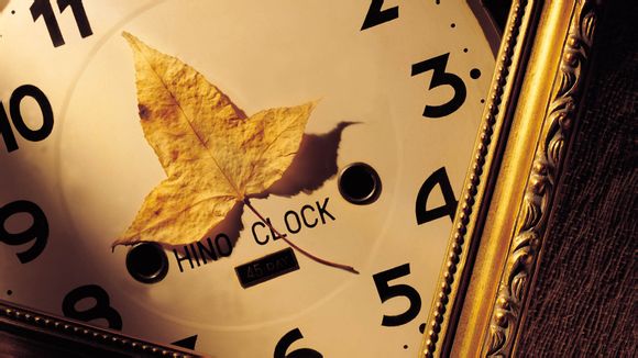 乱世王者官员有什么用