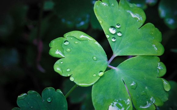 dnf哪里卖小晶体