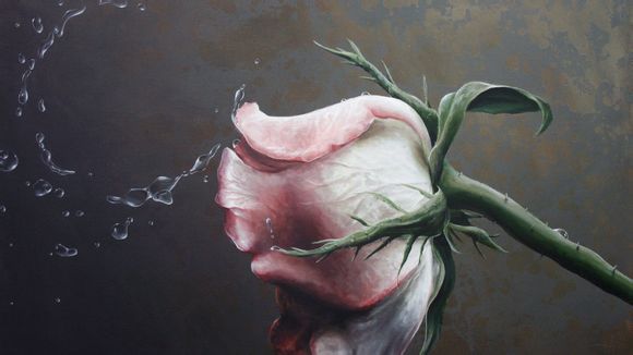 如何登录lol年龄