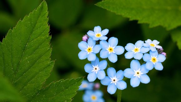 lol论坛怎么升级