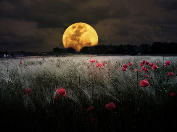 dnf球鞋怎么触发