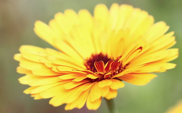 LOL哪些英雄容易被秀