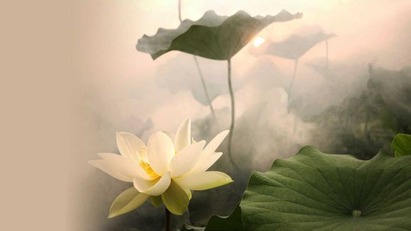 梦幻西游有多少宝石