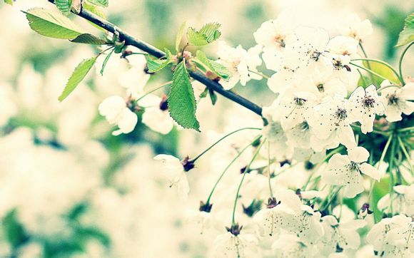 梦幻西游剧情给什么