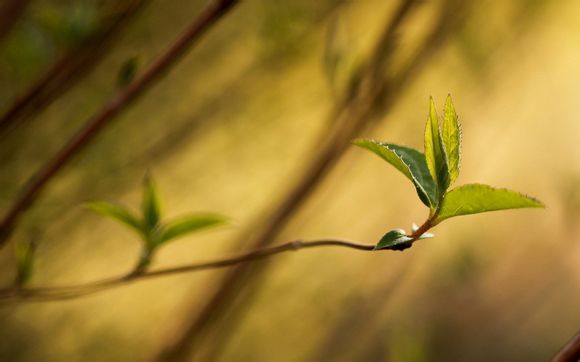 王者能送好友哪些东西