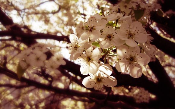 为什么王者荣耀卡