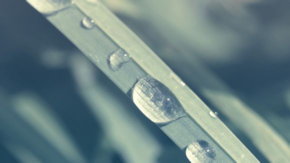 王者荣耀什么姬拼音