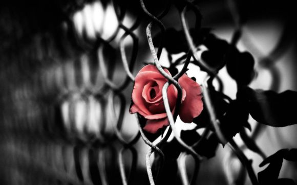 梦幻西游如何打造灵饰