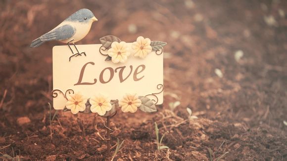 梦幻西游植物多少种