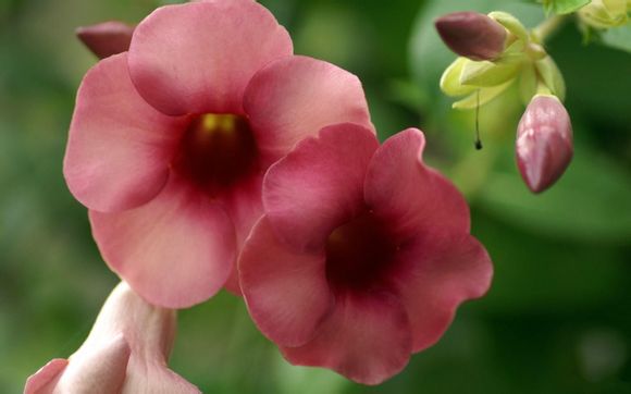 王者荣耀物品有哪些