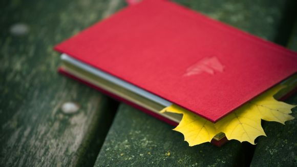 王者皮肤池多久换