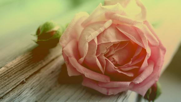 王者荣耀怎么直接登录