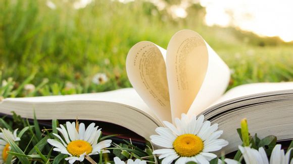 梦幻西游速度资质多少