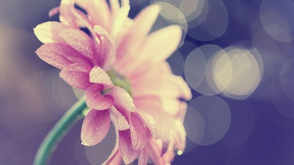 dnf哪些装备加命中