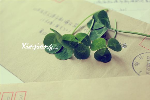 梦幻西游装备书有哪些