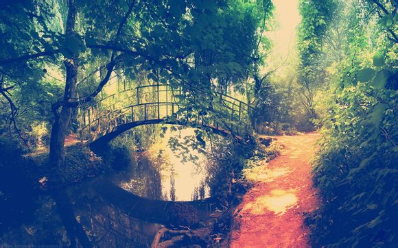 lol狮子皮肤多少钱