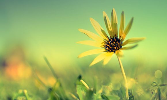 梦幻西游怎么回帮派