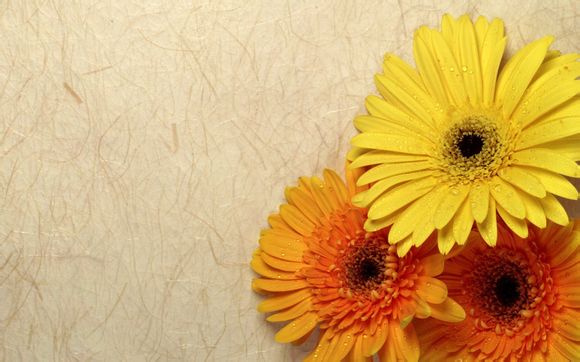 王者荣耀哪里可以接