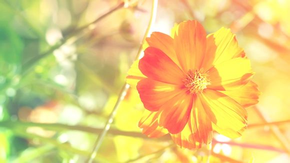 dnf鸟背要刷多久