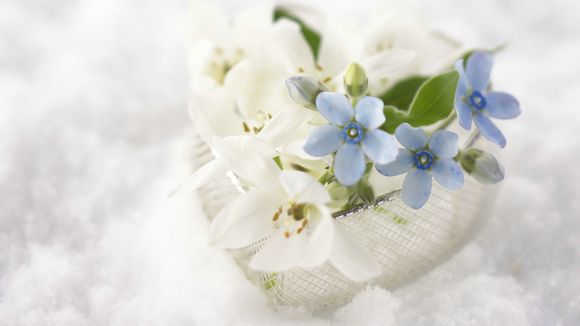 王者亲密度多少才能预约