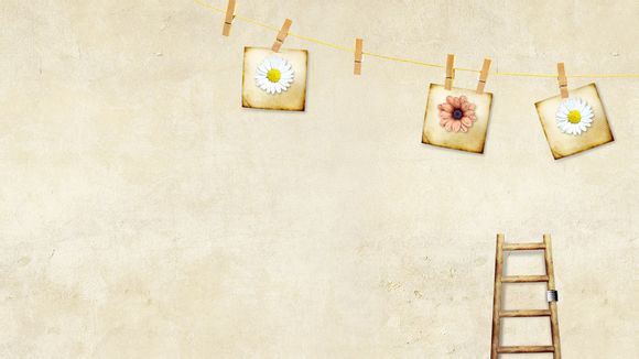 梦幻西游在哪里开店