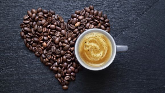 dnf 宠物饲料用多久