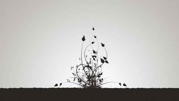 dnf传承上衣有哪些