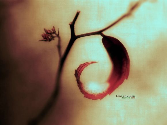 梦幻西游皇宫是哪里