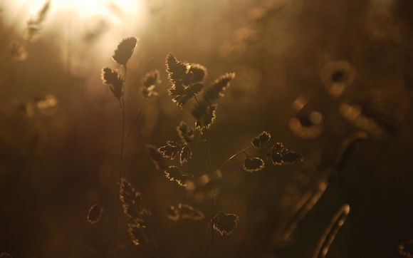 梦幻西游怎么开青龙