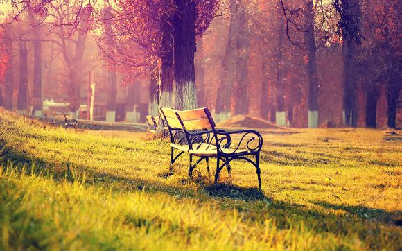 梦幻西游新区多久出大力