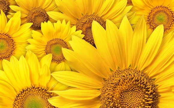 dnf外传职业是什么