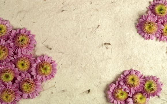 梦幻西游6特技有哪些