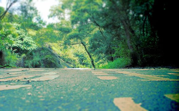 梦幻西游强力卖多少