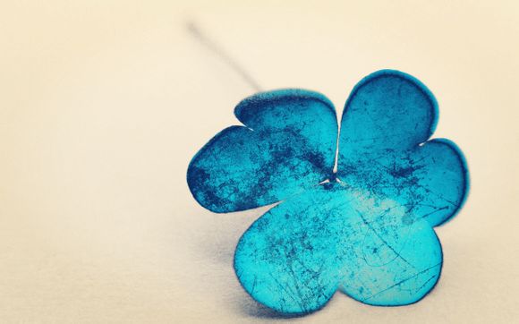 lol狐狸多少点券