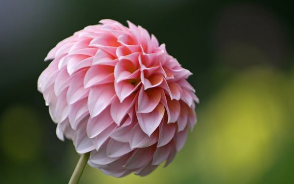 lol聊天怎么聊天