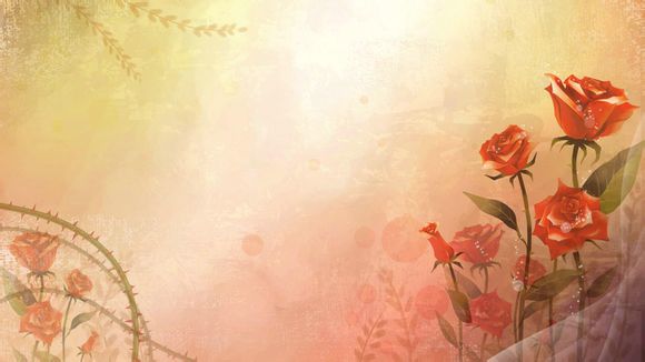 dnf大师金牌多少钱